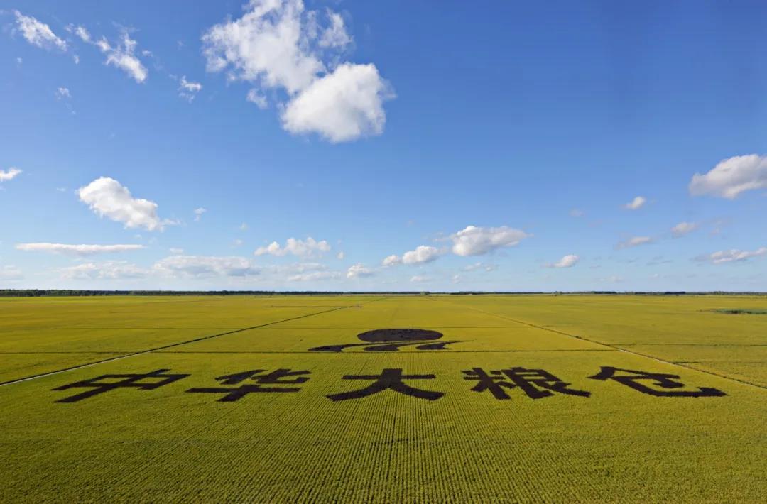 图为北大荒农垦集团总公司建三江分公司(管理局)七星农场万亩大地号