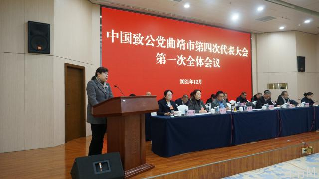 刘卫红讲话