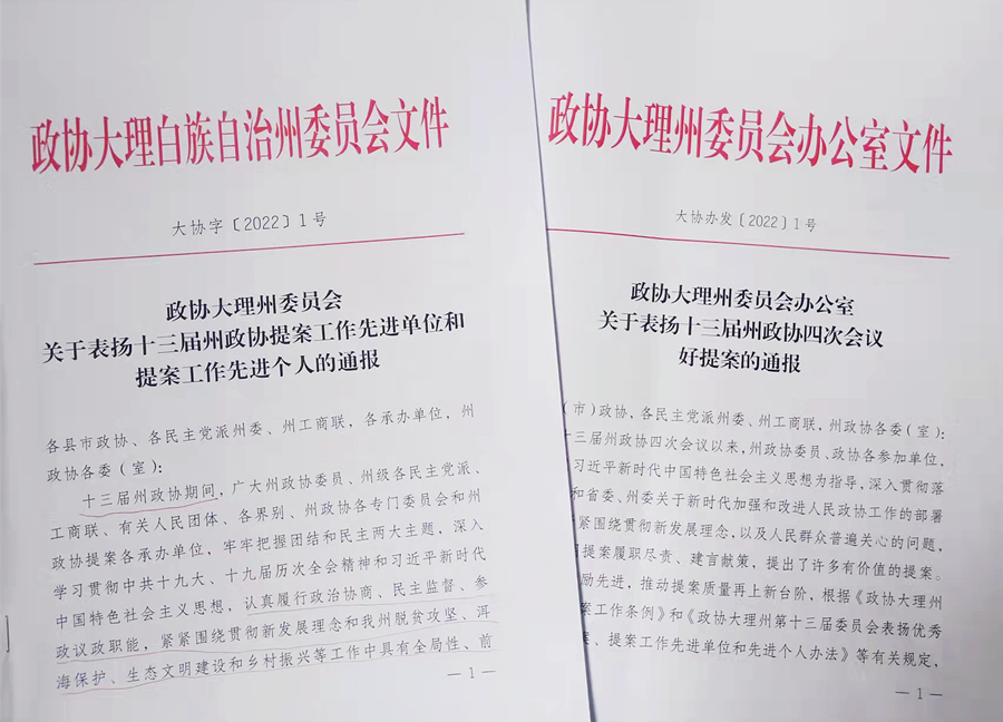 表彰文件_副本
