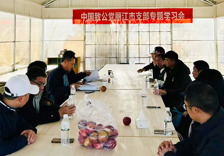 微信图片_20251225084248_副本