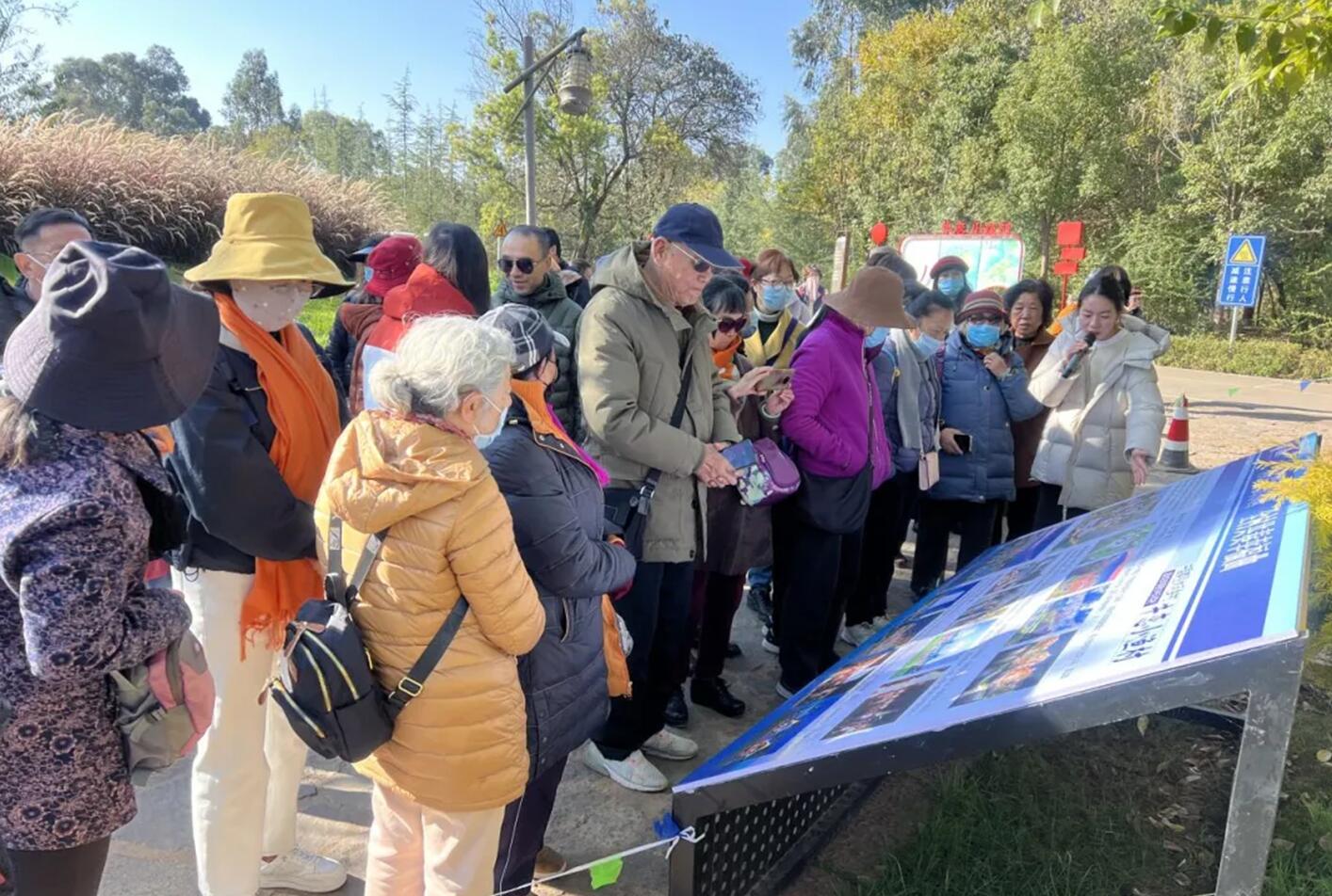 QQ截图20260123092811