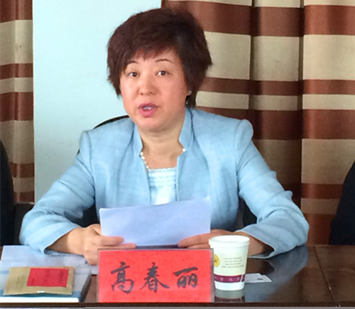 高秘书长在会上讲话