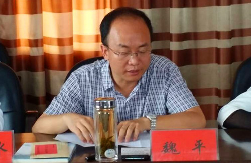 魏平副书记讲话