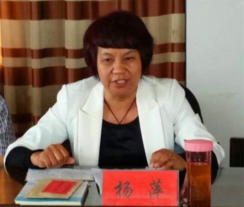 杨萍秘书长讲话