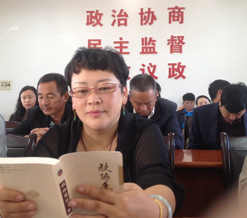 李斌委员