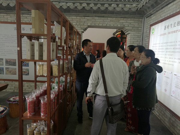 参观高黎贡山茶博园